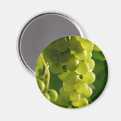 Aimant Raisins (Recto/Verso)