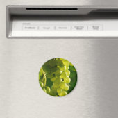 Aimant Raisins (In Situ (Lave-vaisselle))