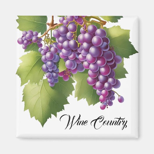 Aimant Raisins de la région viticole (Devant)