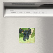 Aimant raisins de vigne (In Situ (Lave-vaisselle))