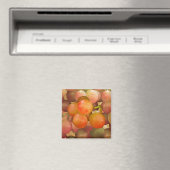Aimant Raisins non en colère (In Situ (Lave-vaisselle))