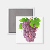 Aimant Raisins rouges (Recto/Verso)