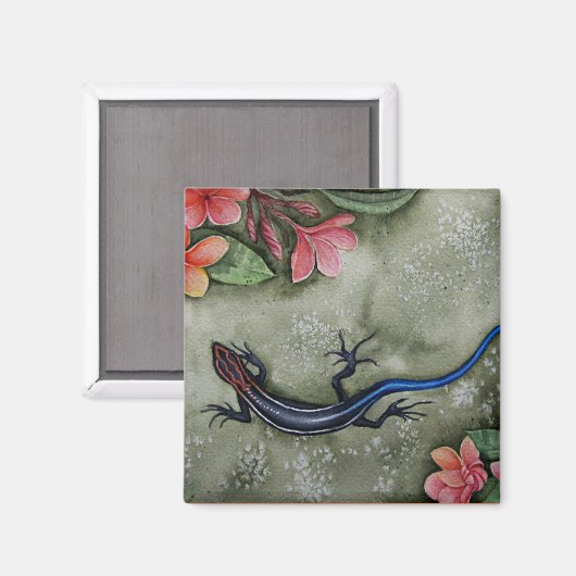 Aimant Râle à queue bleue (Recto/Verso)