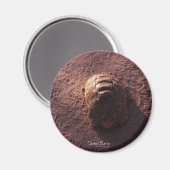 Aimant Ralentisseur (Recto/Verso)