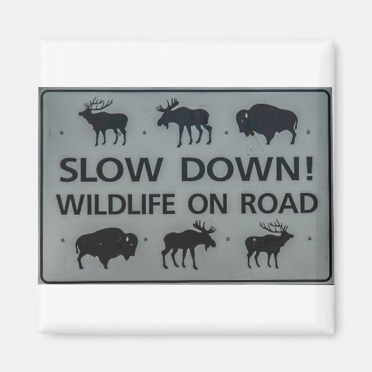 Aimant Ralentissez ! La faune sur la route (Devant)