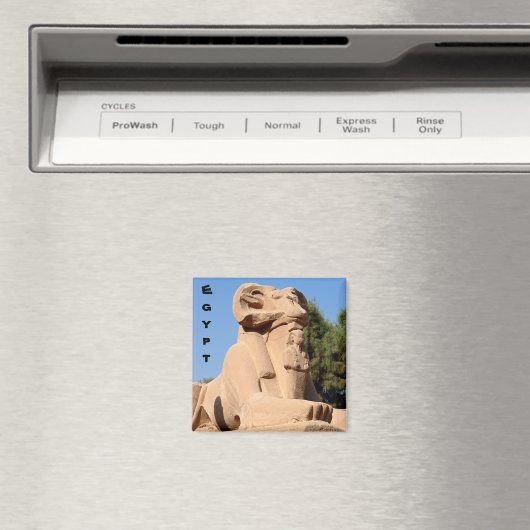 Aimant Ram-headed Sphinx in Karnak Temple - Egypt (In Situ (Lave-vaisselle))