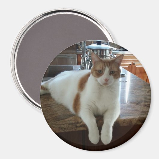 Aimant Rambo - Orange Kitty (Recto/Verso)