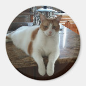 Aimant Rambo - Orange Kitty (Devant)