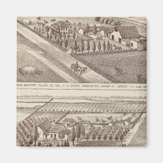 Aimant ranch Kings Co (Devant)