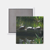 Aimant Rangée de tortues Green Nature Photo (Recto/Verso)