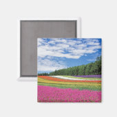 Aimant Rangées de fleurs de champ d'été (Recto/Verso)