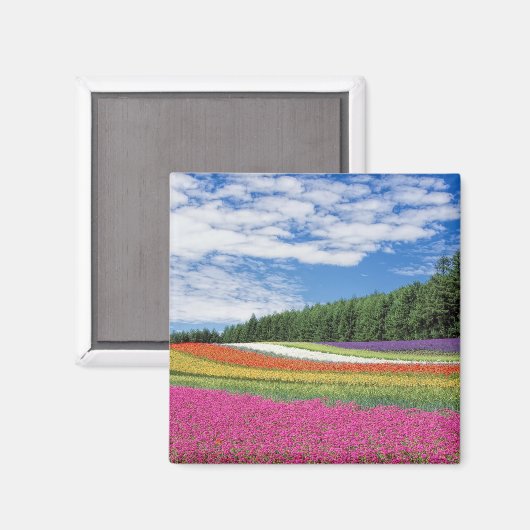 Aimant Rangées de fleurs de champ d'été (Recto/Verso)