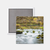 Aimant Rapides d'Alley Springs (Recto/Verso)