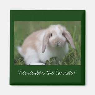 Aimant Rappelez-vous les carottes ! Lapin