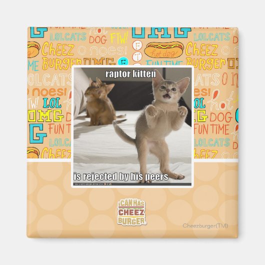 Aimant Raptor Kitten (Devant)