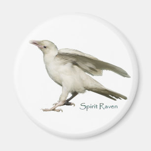 Aimant Rare White Raven Photo Spirit Raven II Series