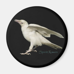 Aimant Rare White Raven Photo Spirit Raven II Series