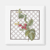 AIMANT RASPBERRIES (Devant)