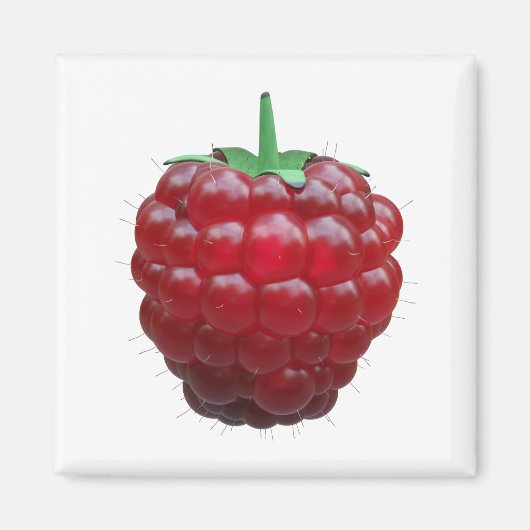 Aimant Raspiberry (Devant)