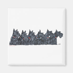 Aimant Rassemblement de Terrier Écossais