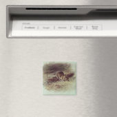 Aimant Rat Brown 1918 (In Situ (Lave-vaisselle))