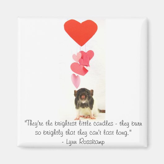 Aimant Rat cardiaque (Devant)