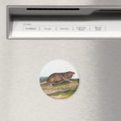 Aimant Rat Poché Sud, Schrew Mole Illustration (In Situ (Lave-vaisselle))