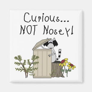 Aimant Raton laveur curieux