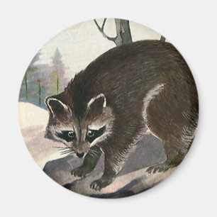 Aimant Raton laveur vintage, créatures animales sauvages 