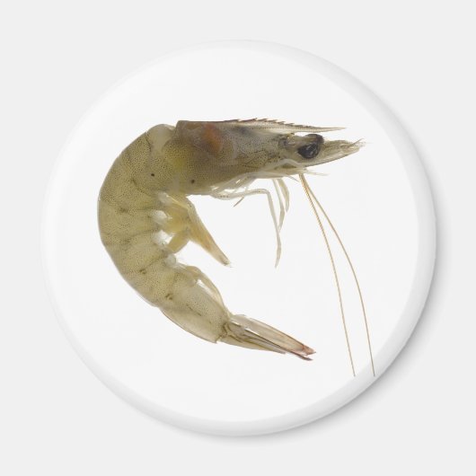 Aimant Raw gris crevé (Devant)