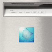 Aimant Rayon (In Situ (Lave-vaisselle))