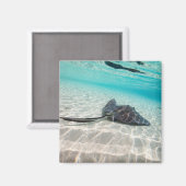 Aimant Rayon de fixation (Recto/Verso)