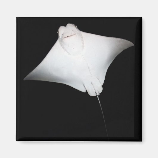 Aimant Rayon souriant (Devant)