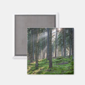 Aimant Rayons de soleil dans la Forêt-Noire (Recto/Verso)