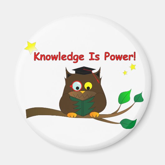 Aimant Reading Wise Owl (Devant)