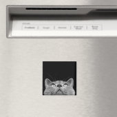 Aimant Recherche d'aimant (In Situ (Lave-vaisselle))