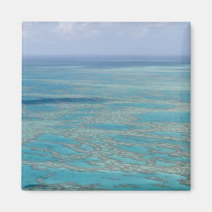 Aimant Récif tropical, Grande Barrière de corail, Queensl
