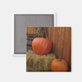 Aimant Récolte (Recto/Verso)