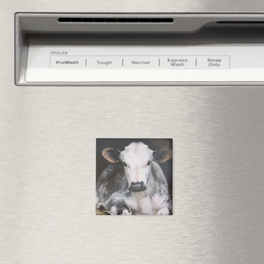 Aimant Récolte de jour occupée (In Situ (Lave-vaisselle))