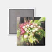 Aimant Récolte de radis et de navets (Recto/Verso)