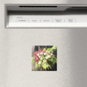 Aimant Récolte de radis et de navets (In Situ (Lave-vaisselle))