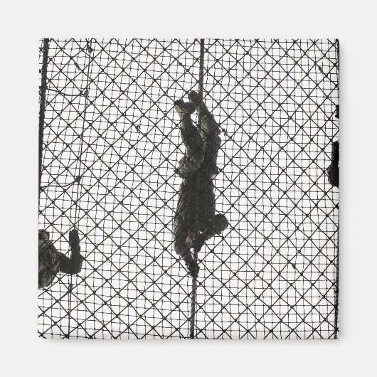 Aimant recrues accomplissant un obstacle (Devant)