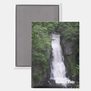 Aimant Rectangle de Bushkill Falls