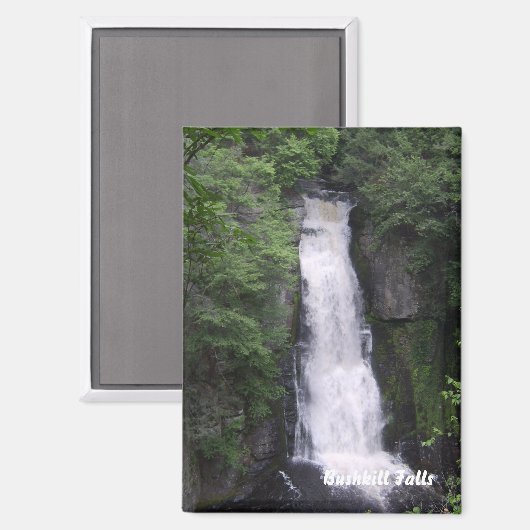 Aimant Rectangle de Bushkill Falls (Recto/Verso)