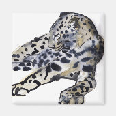 Aimant Recteur (Devant)