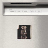 Aimant Récupérateur de chocolat Labrador (In Situ (Lave-vaisselle))