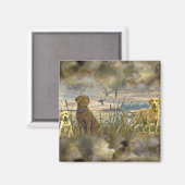 Aimant Récupérateurs fiables (Recto/Verso)