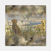 Aimant Récupérateurs fiables (Devant)