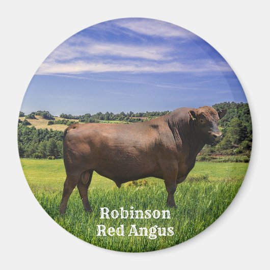 Aimant Red Angus Bull (Devant)