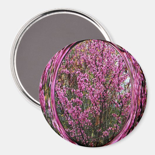 Aimant Red Bud tree.... (Recto/Verso)